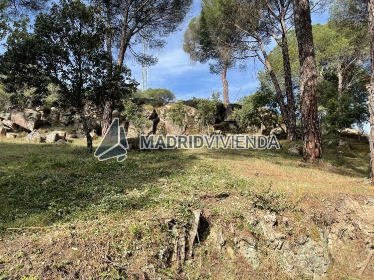 terreno en venta en Abantos-Carmelitas (San Lorenzo De El Escorial) por 60.000 €