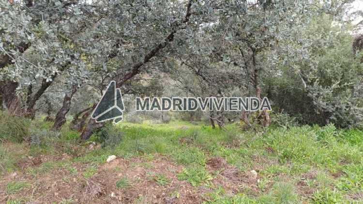 terreno en venta en Villa Del Prado por 40.000 €