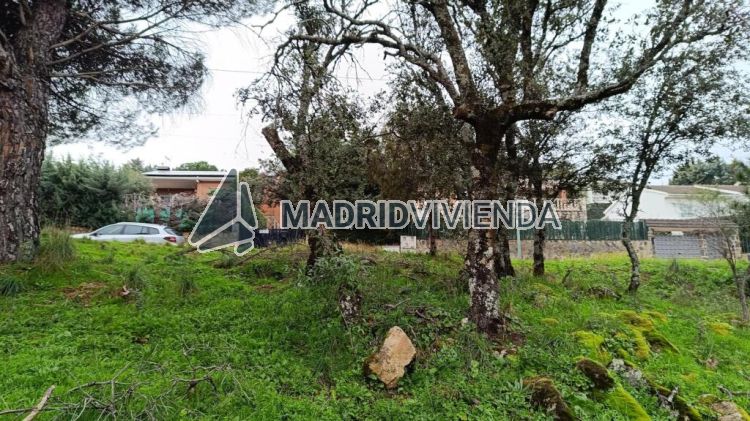 terreno en venta en Villa Del Prado por 38.000 €