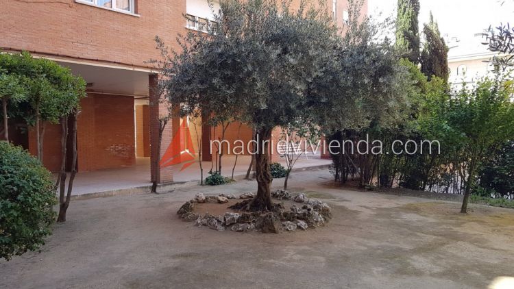 piso en alquiler en Rinconada (Alcalá De Henares) por 800 €