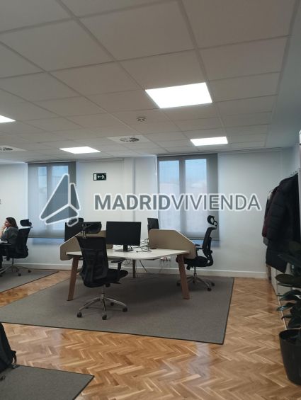 oficina en alquiler en Recoletos (Distrito Salamanca. Madrid Capital) por 6.250 €