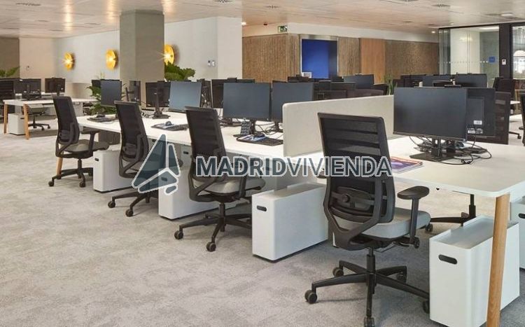 oficina en alquiler en Castellana (Distrito Salamanca. Madrid Capital) por 21.951 €