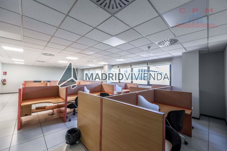 oficina en alquiler en Buenavista (Distrito Carabanchel. Madrid Capital) por 1.305 €