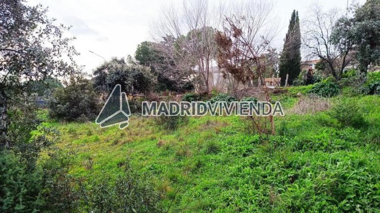 terreno en venta en Villa Del Prado por 43.000 €
